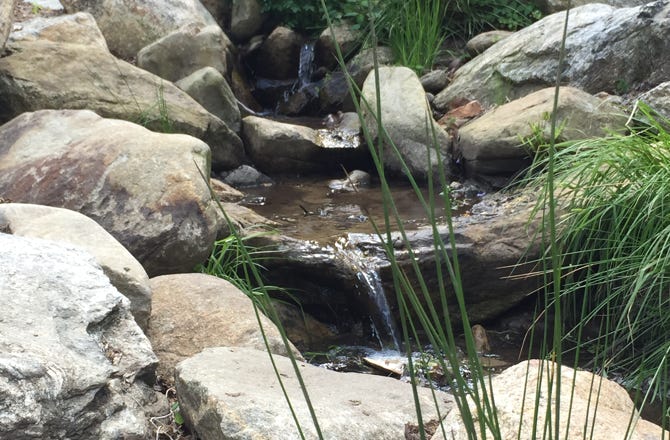 creek daylighting restoration residential landscape architecture asheville nc