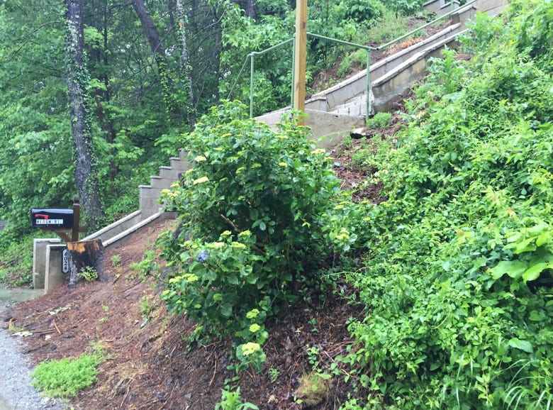 before image landscape renewal lake summit nc