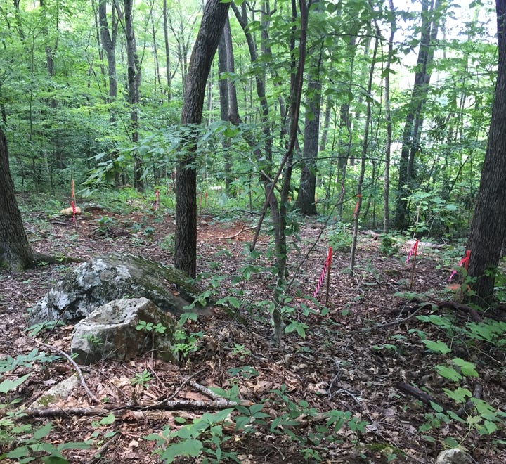 New construction home, site planning Asheville NC