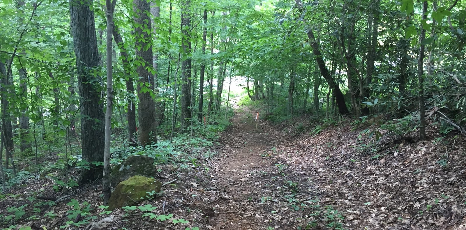 site photo clegg landscape architecture portfolio