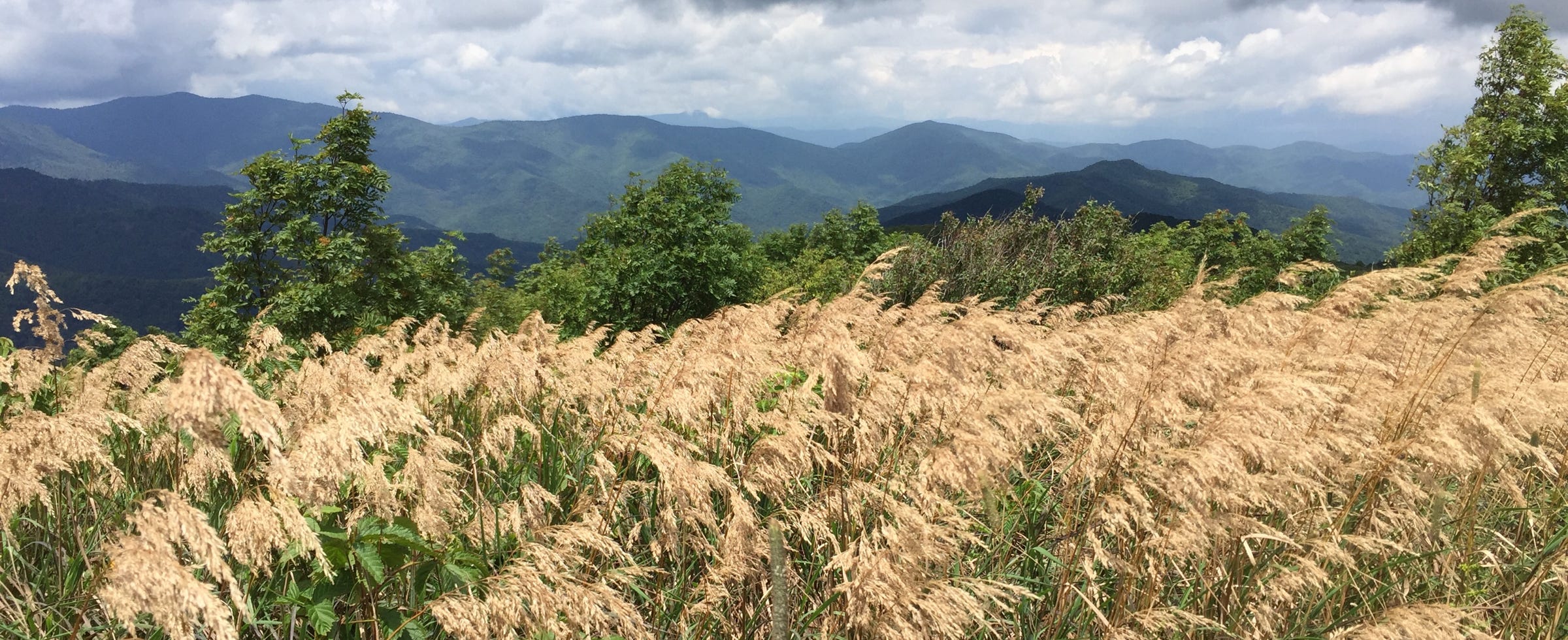 blue ridge mountains nc
