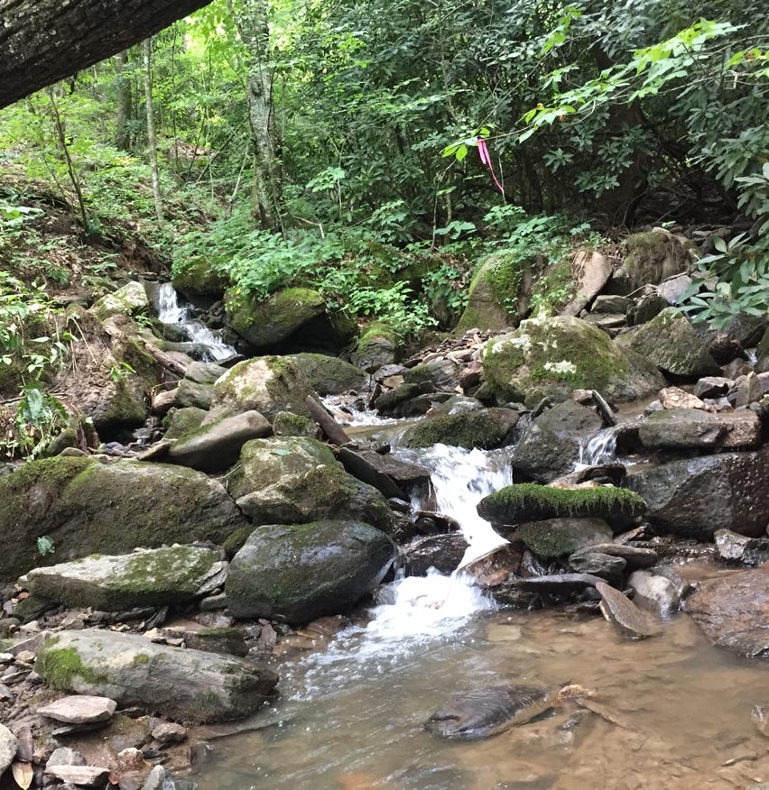 mountain stream western north carolina